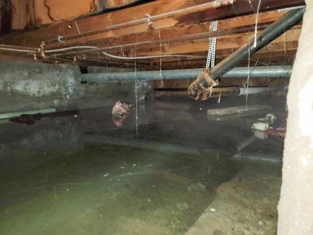 24/7 water damage repair in Wading River, NY