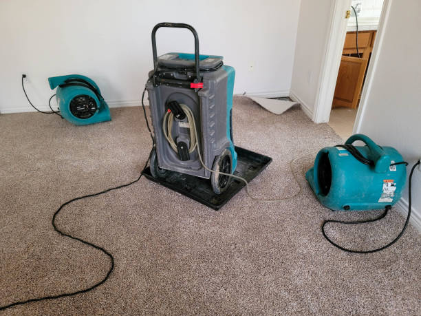 Best Water damage repair service  in Wading River, NY