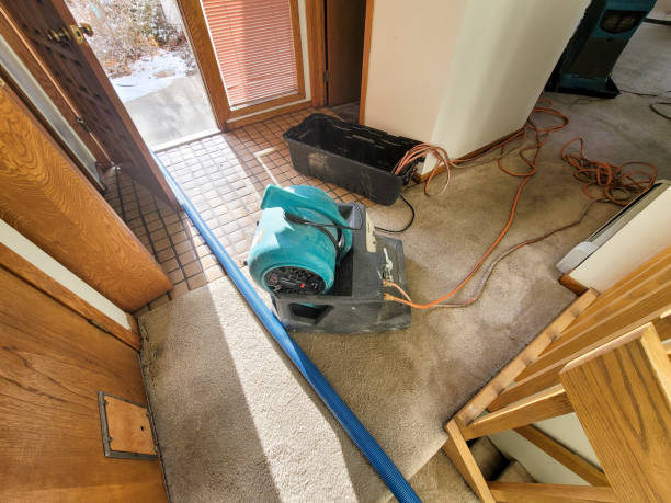 Best Water damage restoration experts  in Wading River, NY
