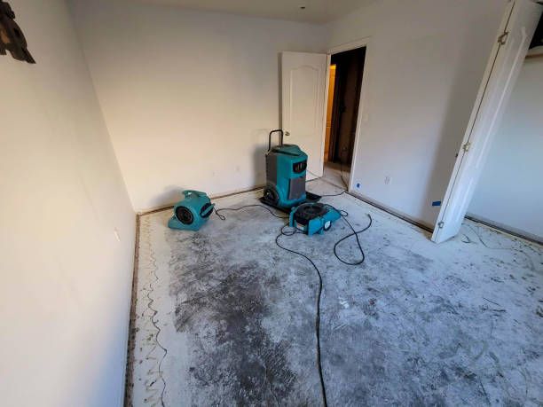 Best Flood restoration services  in Wading River, NY