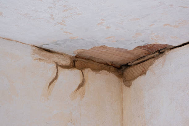 Best Ceiling water damage repair  in Wading River, NY