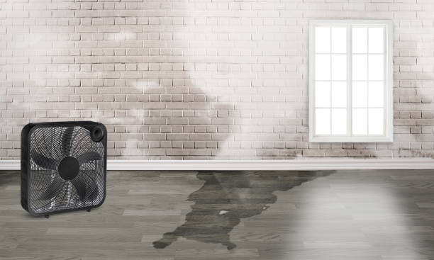 Best Water damage restoration mold remediation  in Wading River, NY