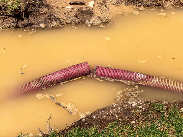 Best Water damage restoration near me  in Wading River, NY