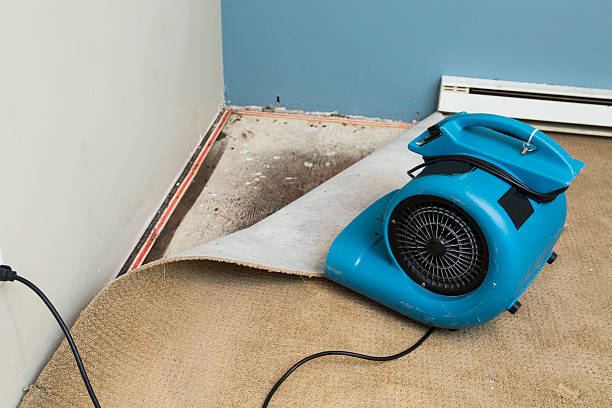 Best Local water damage restoration  in Wading River, NY